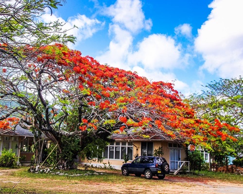 Living on Rarotonga Living on Rarotonga