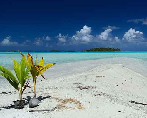 Discover the lagoons of French Polynesia. Discover the lagoons of French Polynesia.