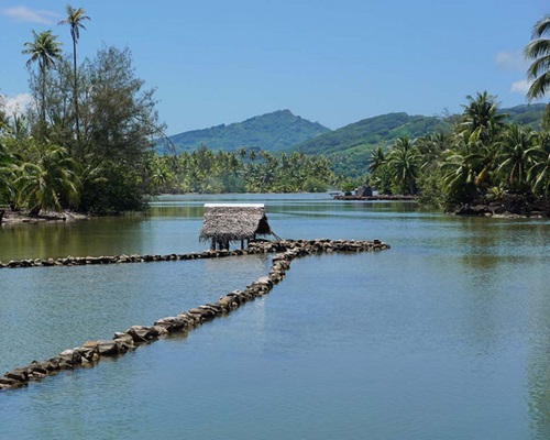 Discover ancestral culture in French Polynesia. Discover ancestral culture in French Polynesia.
