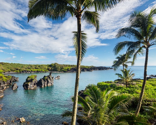 Beautiful nature on Maui, Hawaii Beautiful nature on Maui, Hawaii