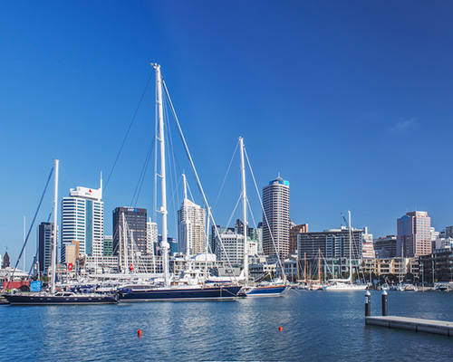 Auckland - Best Whale Watching Destinations in New Zealand