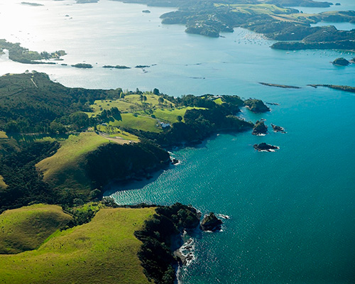 Bay of Islands - Best Whale Watching Destinations in New Zealand