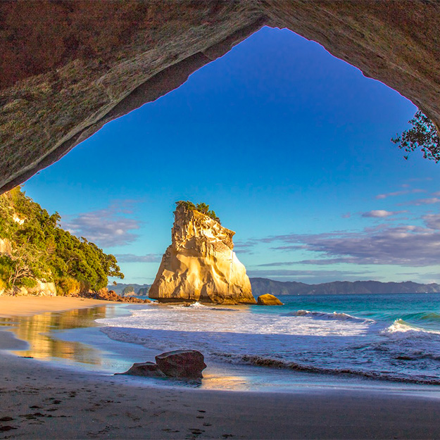 Coromandel, New Zealand - Whale Watching Destination