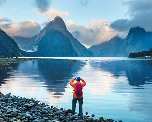 Fiordland - Best Whale Watching Destinations in New Zealand