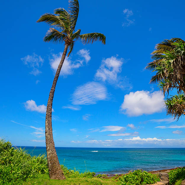 Hawaii, USA - Whale Watching Paradise