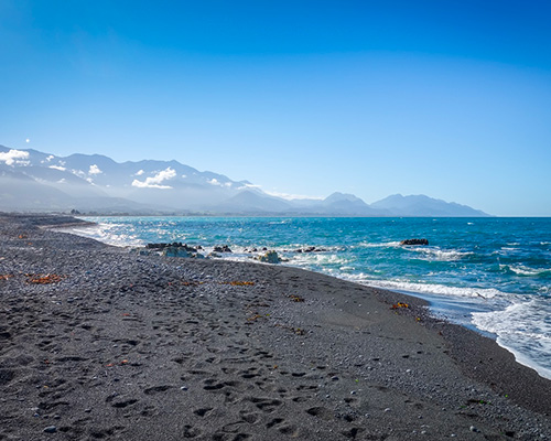 Kaikoura - Best Whale Watching Destinations in New Zealand