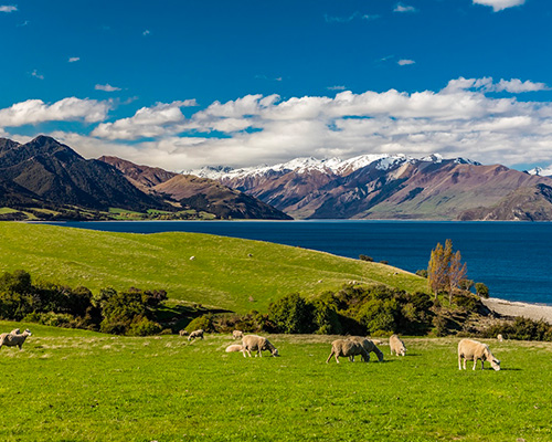 Lake Hawea in New Zealand