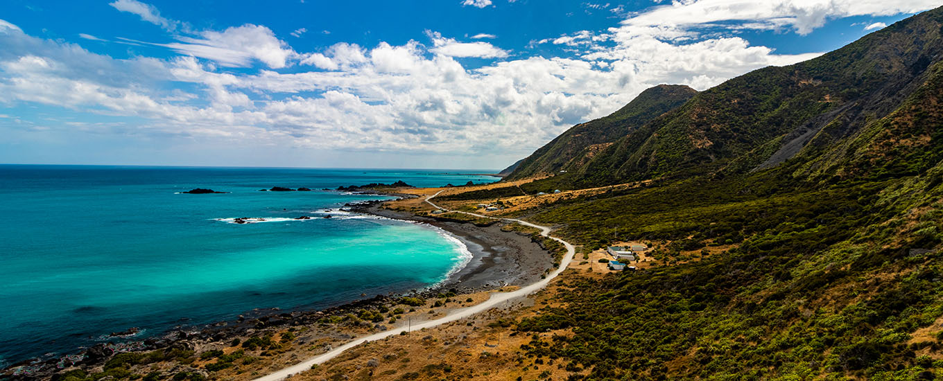 New Zealand Whale Watching Guide