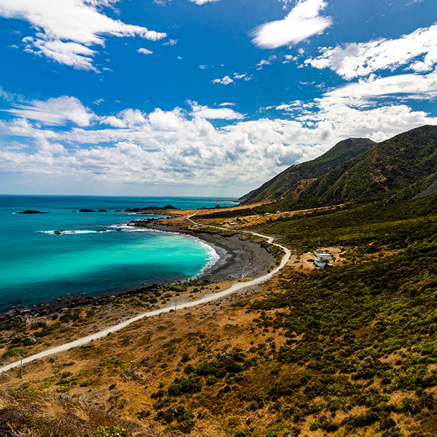 New Zealand - Whale Watching Paradise