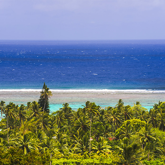 Rarotonga, Cook Islands - Whale Watching Destinations