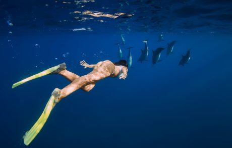 Swimming with dolphins in the turquoise waters of Mauritius.