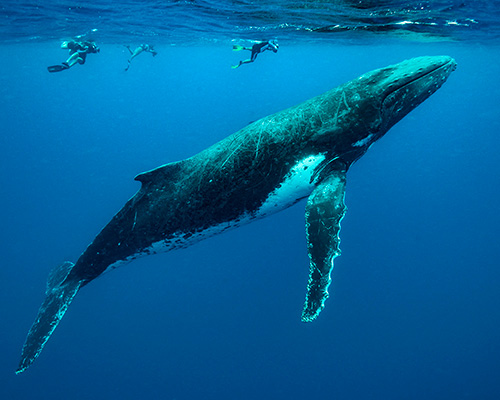 Destination Pakistan