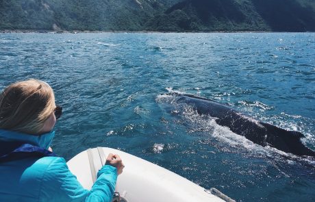 Woman whale watching from a boat in New Zealand.